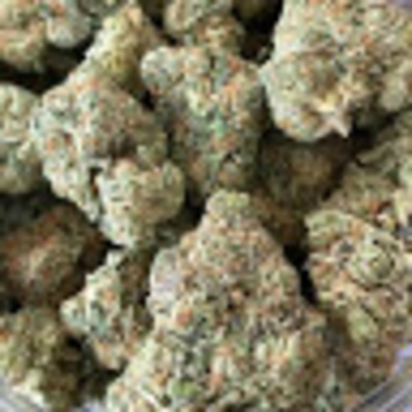 Meet your Posher, Mich - Picture 1 of 1